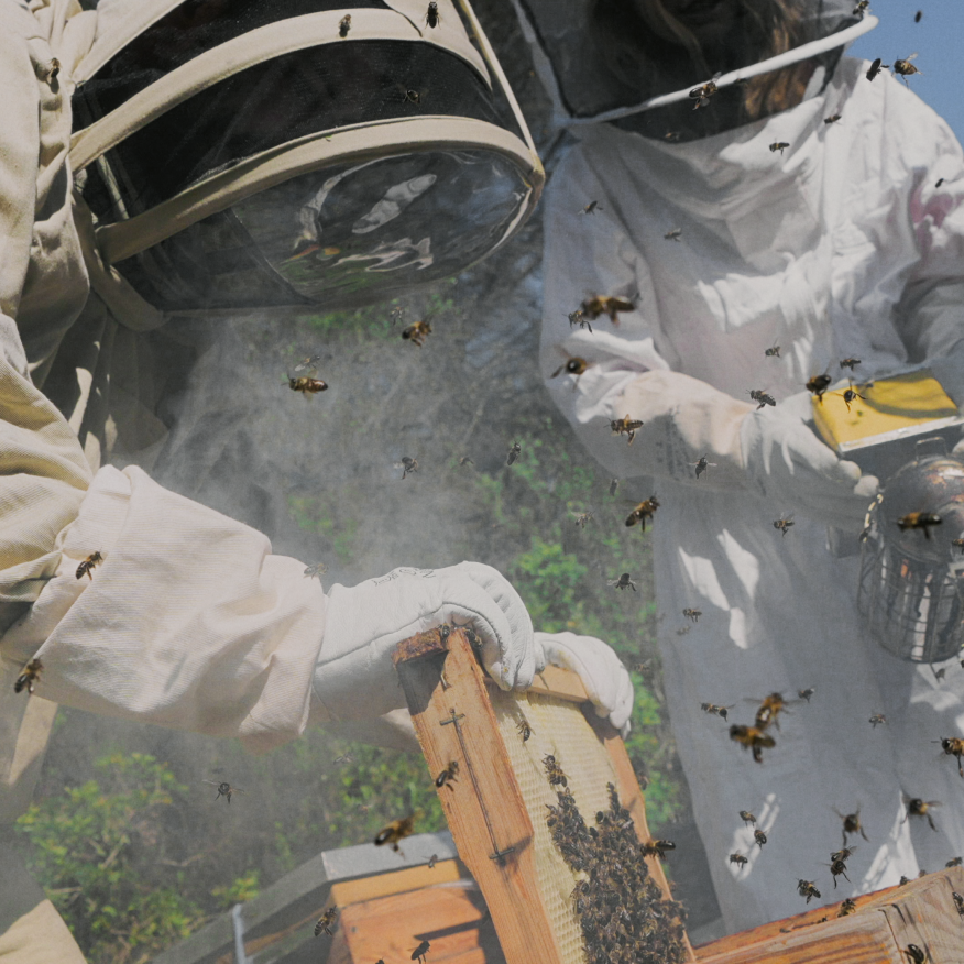 to the modern European techniques